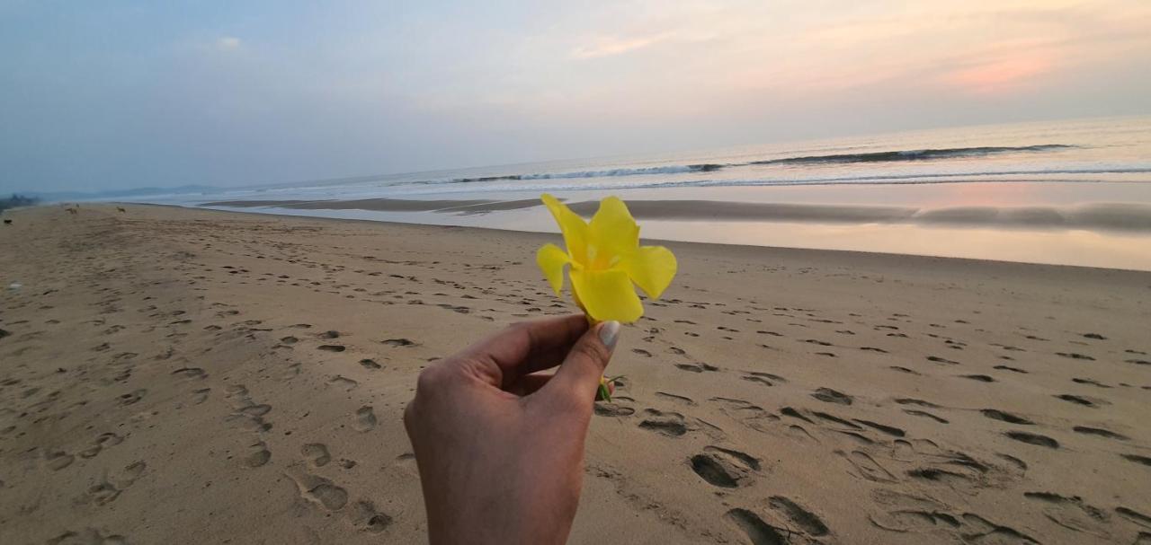 Blue Lagoon Beach Resort Gokarna (Karnataka) Exterior photo